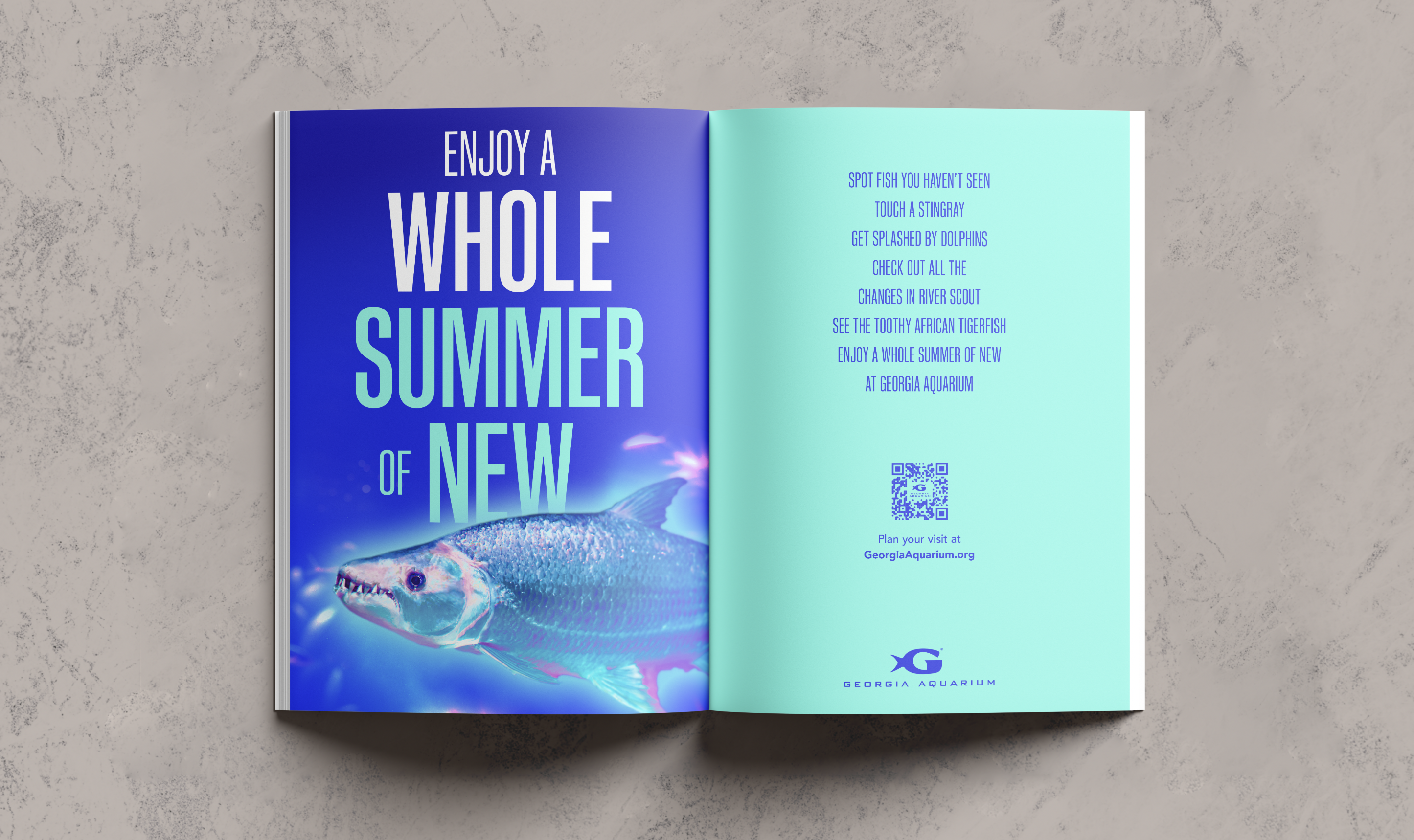 GAQ Magazine Spread